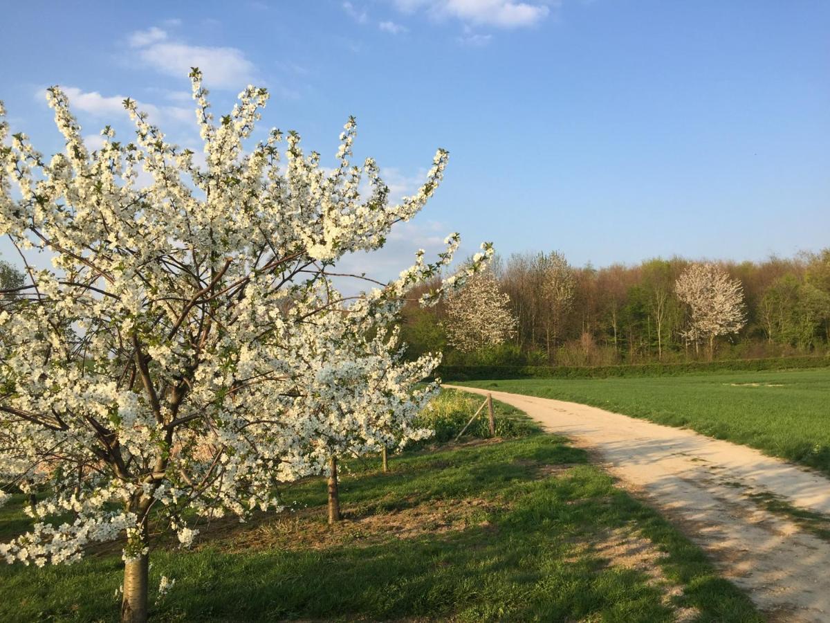 Belle Vue Vakantieappartement Genoelselderen Dış mekan fotoğraf